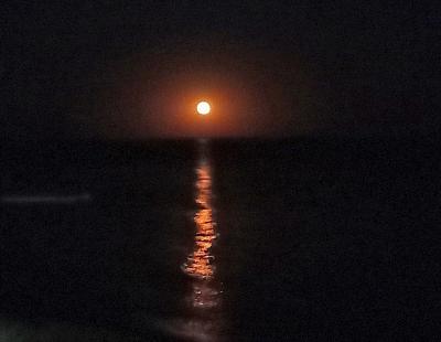 Прикрепленное изображение: 015-3.jpg